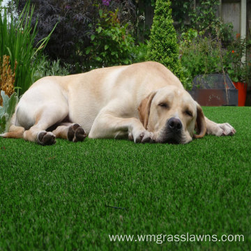 Landscape Pet Artificial Grass